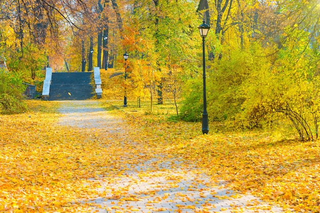 Callejón con escalera en el parque de otoño con árboles y hojas amarillas caídas