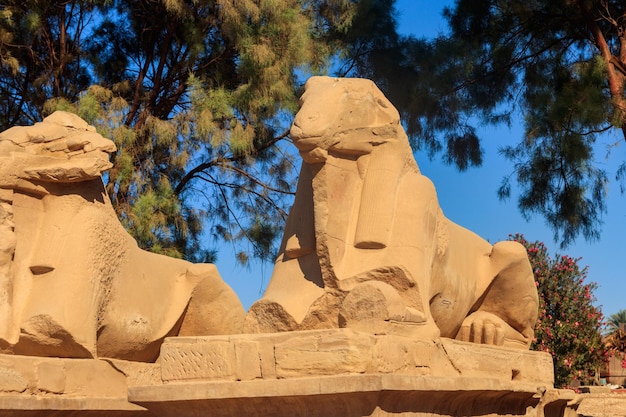 Callejón de esfinges en el complejo del templo de Karnak en Luxor, Egipto