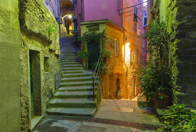 Callejón estrecho y oscuro y escalera en el casco antiguo con plantas y flores por la noche en el pueblo pesquero de Vernazza, cinco tierras, Parque Nacional Cinque Terre, Liguria, Italia.