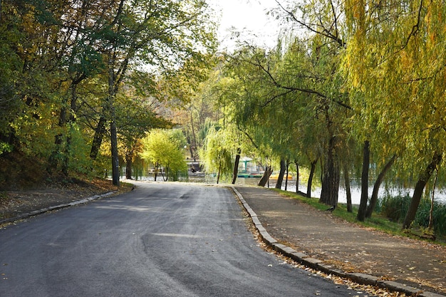 Callejón en el hermoso parque de otoño