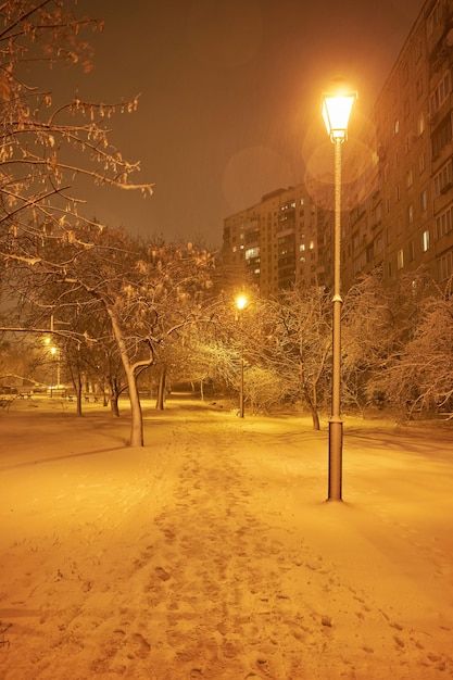 Callejón de invierno en el parque y linternas brillantes