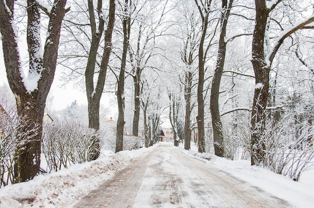 Callejón de paisaje de invierno cubierto de nieve