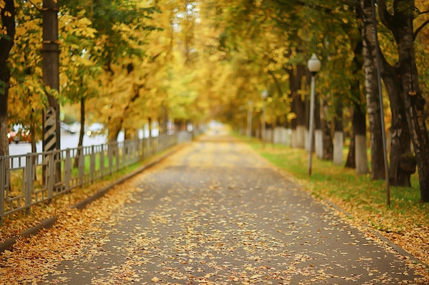 Callejón en el paisaje del parque de otoño, paisaje estacional de la carretera amarilla de otoño en octubre en la ciudad