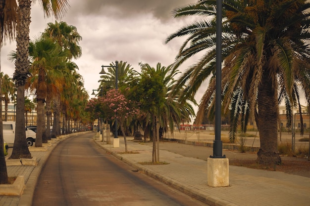 Un callejón de palmeras en España al atardecer