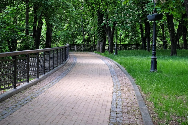 Callejón del parque de la ciudad verde