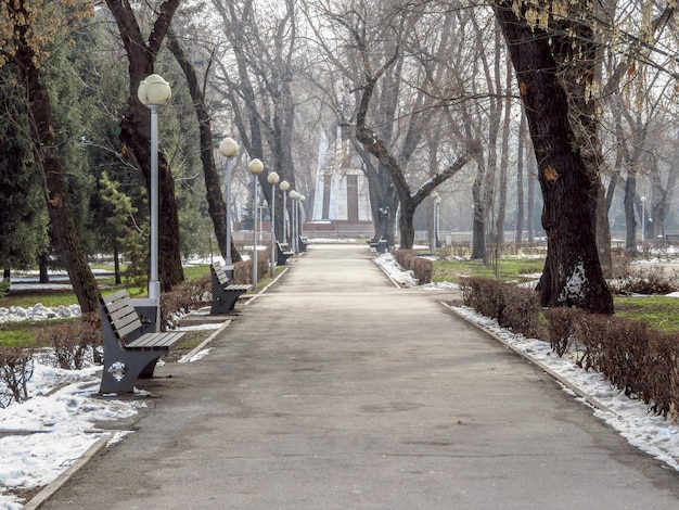 Callejón en el parque de la ciudad