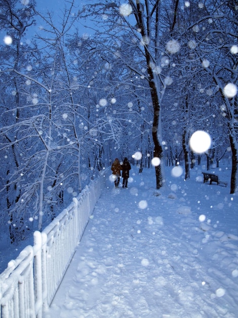 Callejón en un parque cubierto de nieve y pareja caminando