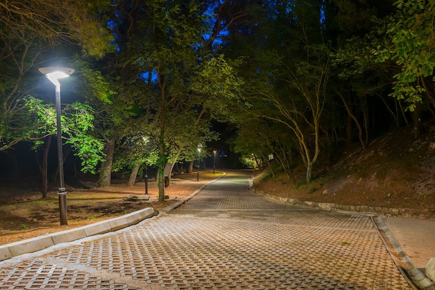 Foto un callejón pintoresco entre los árboles en un parque nocturno.