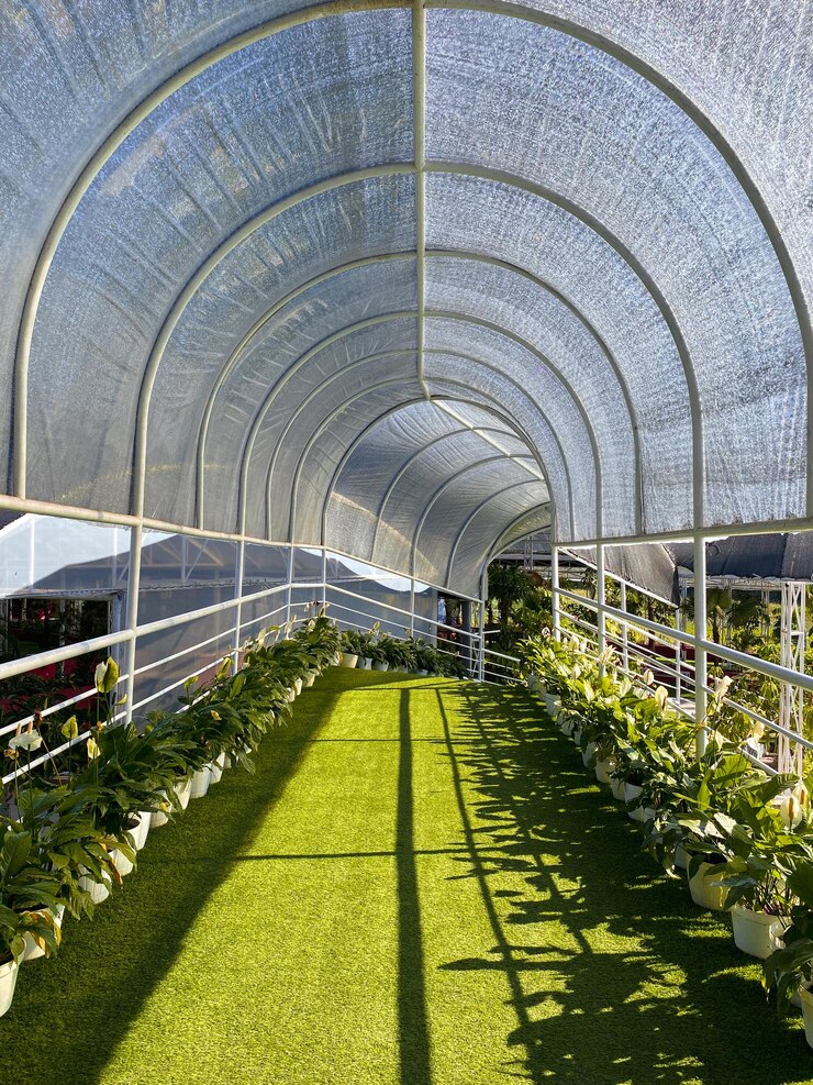 callejón con plantas en el jardín