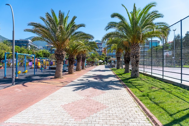 El callejón de la playa de Cleopatra con palmeras