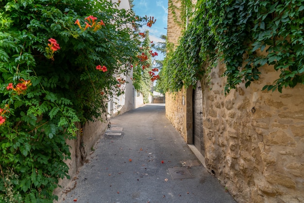 Callejón pueblo de Lourmarin en la Provenza Luberon