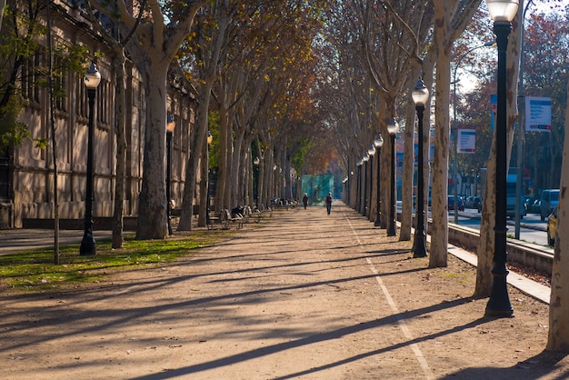 Calles de Barcelona en temporada de invierno.