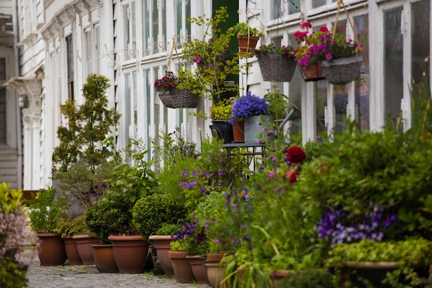 calles de bergen