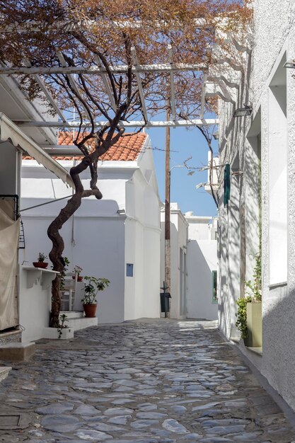 Las calles de la ciudad de Chora Northern Sporades Skyros island Grecia