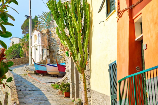 Calles escénicas coloridas de Manarola