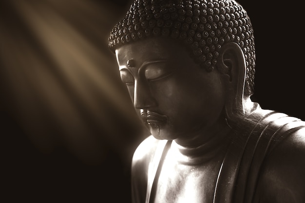 Calma buddha com a luz da sabedoria, pacífica asiático buddha zen tao religião estátua de estilo de arte