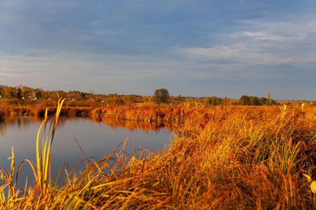 Calma em um lago de outono com margens laranja