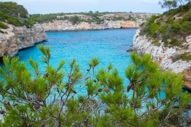 Calo des Moro Mallorca España Hermosa playa paisaje exótico isla tropical naturaleza mar azul