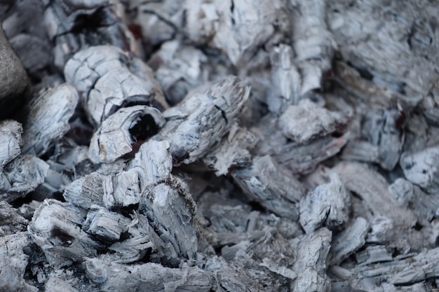 Foto el calor de las brasas de la madera quemada el color gris de las brosas calientes de las ramas quemadas