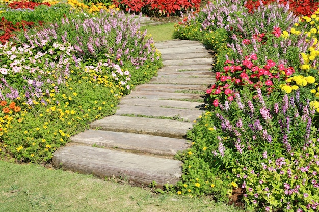 Calzada de piedra en jardín de flores