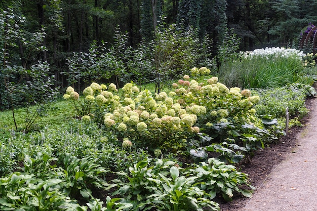 Cama de flor complexa de plantas perenes