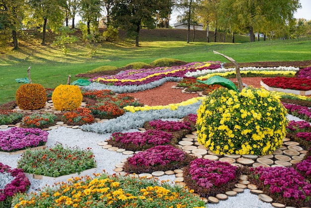 Foto cama de flores en forma de manzana con crisantemos de colores. parkland en kiev, ucrania.