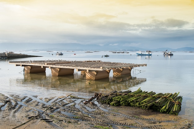 Cama de mejillón en el mar