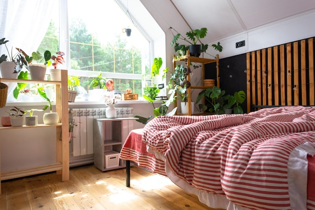 Cama não feita com linho listrado vermelho e uma bagunça no estilo Loft quarto interior parede preta com lâminas de madeira cama de metal plantas em vasos em uma janela trapezoidal no sótão Casa Verde Moderna