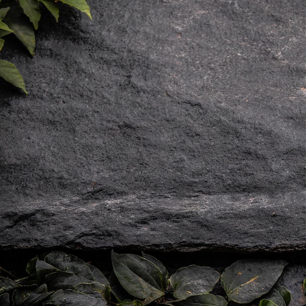 Camada plana cinzenta de superfície de pedra com folhas de natureza borradas escuras no fundo Ai Generatd