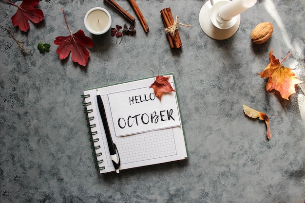 Camada plana de outono com pequenas abóboras caem folhas de bordo e caderno de papel em branco sobre fundo branco O conceito de setembro e maquete escolar