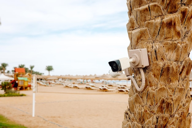 Cámara digital de seguridad en palmera en la playa