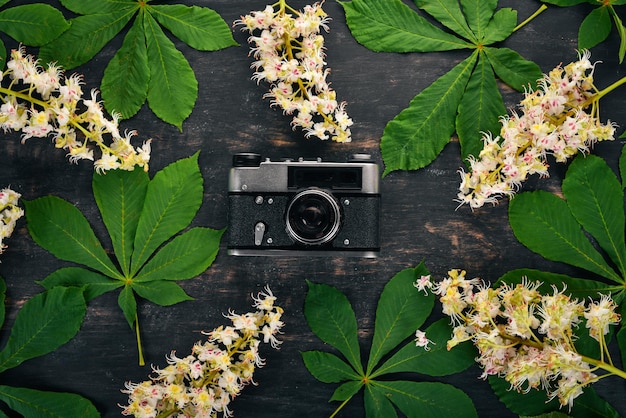 Cámara y flores de castaño Sobre un fondo de madera Vista superior Espacio de copia