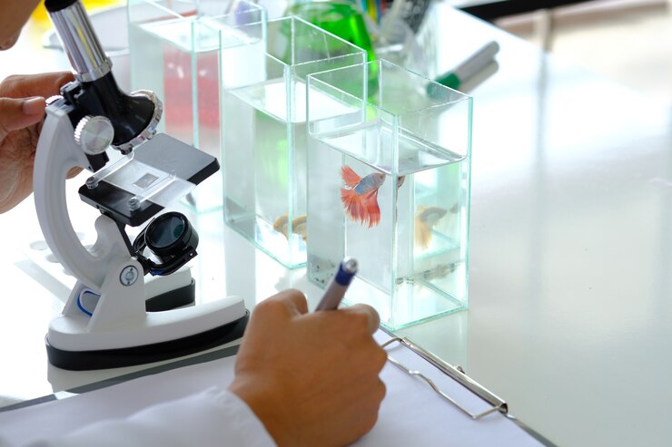 Foto la cámara del microscopio analiza el pez que lucha rojo hermoso y la nota de la escritura de la mano