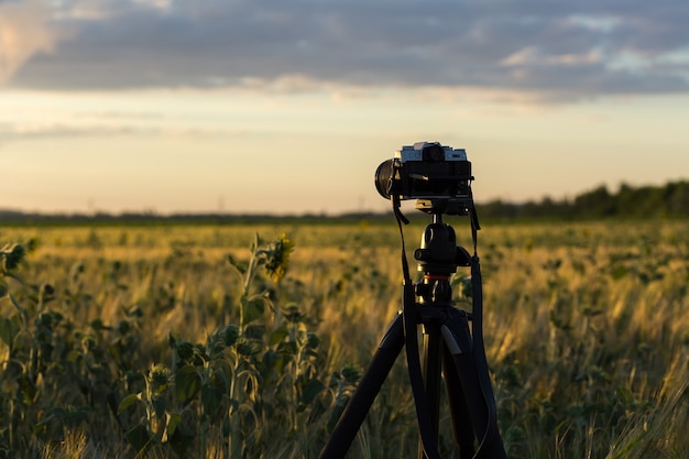 Cámara sobre trípode en el campo durante la puesta de sol