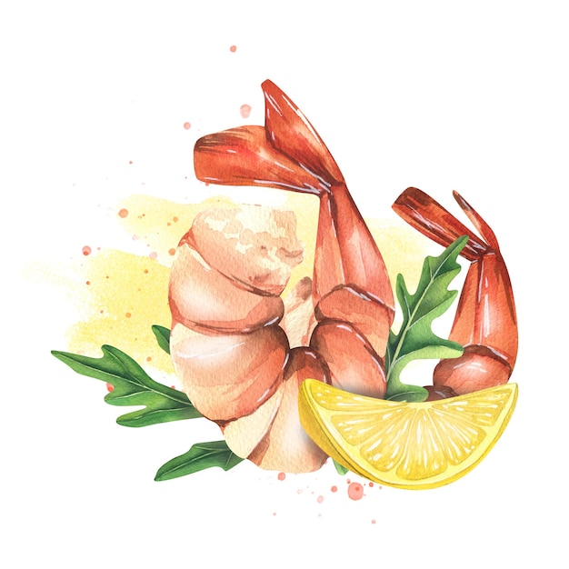 Camarão cozido com rodela de limão e folhas de rúcula sobre fundo de spot aquarela Ilustração em aquarela Composição da coleção SHRIMP Para a concepção e design de menus