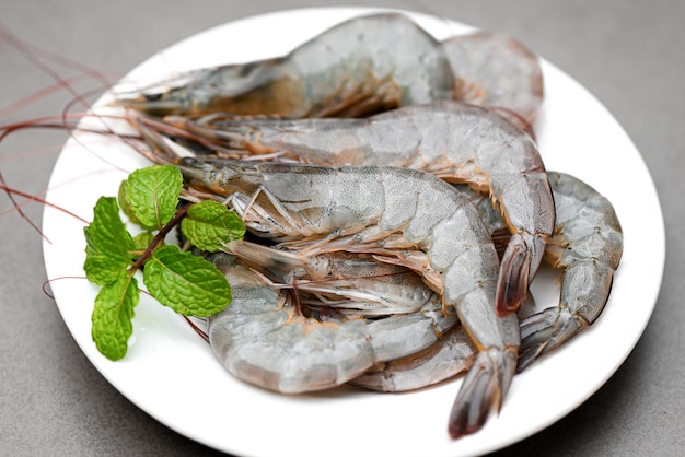 Camarão cru em chapa branca com folha de menta e fundo de camarões para cozinhar camarões frescos ou mariscos de camarão