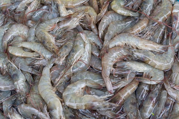 Camarão fresco cru, camarão no gelo vender no mercado