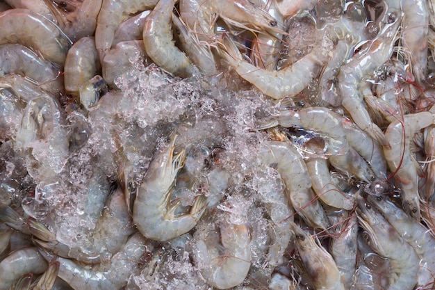 Camarão fresco no mercado