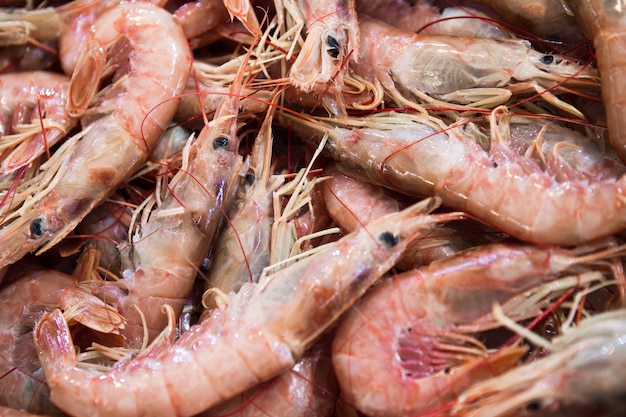 Camarão tigre texturizado no mercado central de atenas, grécia