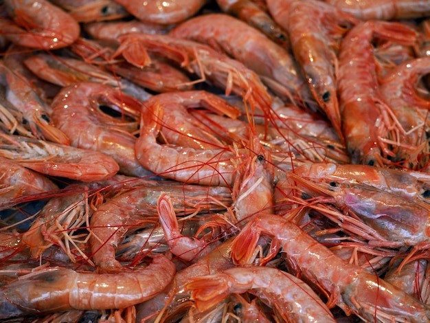 camarão vermelho camarão peixe fresco frutos do mar em Ortigia Syracuse mercado de peixe da Sicília Itália