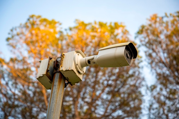 Cámaras de CCTV en postes de metal en parques públicos para monitorear, observar y registrar evidencia de incidentes