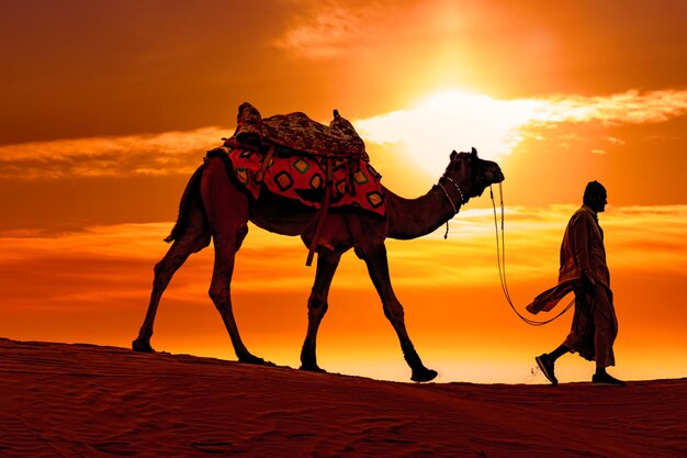 Foto camareiros condutores de camelos ao pôr-do-sol deserto de thar ao pór-do- sol jaisalmer rajasthan índia