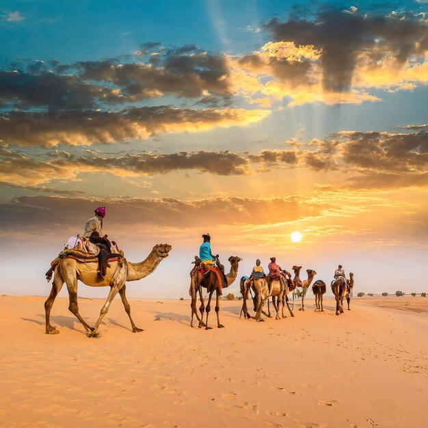 Foto camareiros condutores de camelos ao pôr-do-sol deserto de thar ao pór-do- sol jaisalmer rajasthan índia