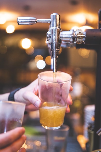 Camarero sirviendo cerveza en un vaso con un tirador de cerveza en un bar.