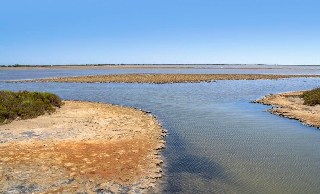 Camargue, em França