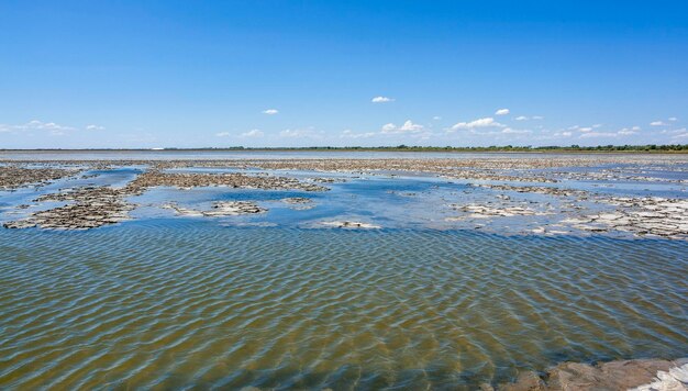 Camargue, em França