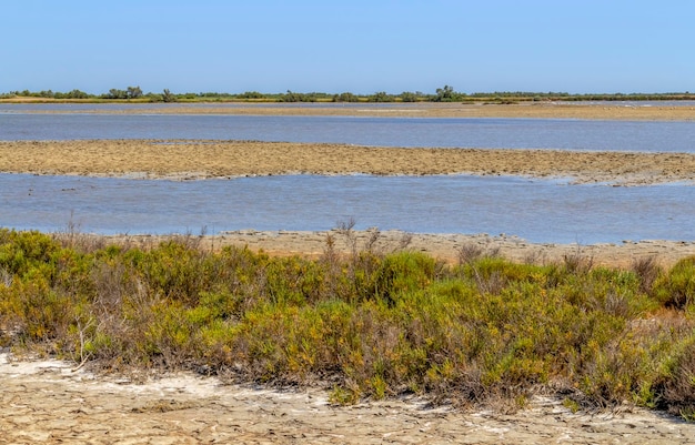 Camargue in Frankreich