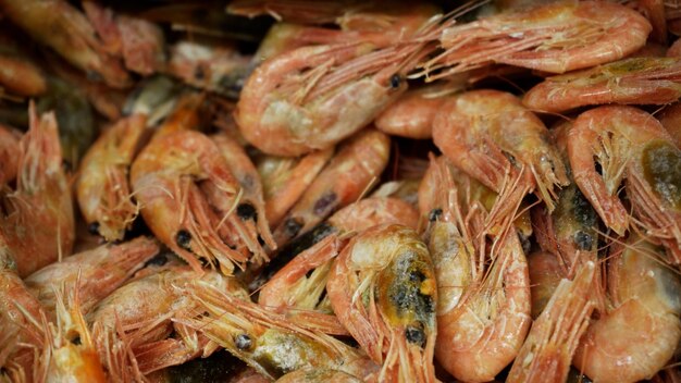 Camarões congelados frescos cor-de-rosa com gelo em um supermercado ou loja de peixes Frutos do mar crus close-up de fundo Camarão fresco congelado iguarias conceito de frutos do mar close-up