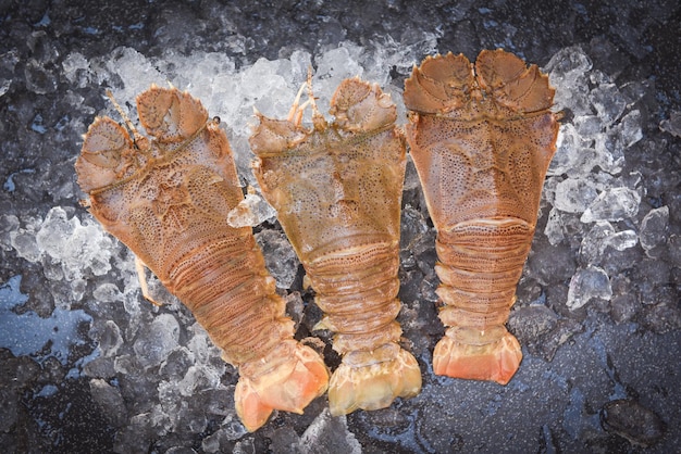 Camarões de lagosta de cabeça chata crus no gelo, cabeça de lagosta de chinelo fresco para cozinhar em fundo escuro no restaurante de frutos do mar ou mercado de frutos do mar, Rock Lobster Moreton Bay Bug