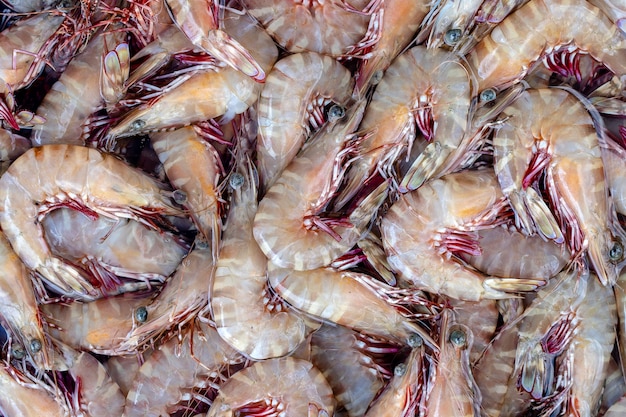 Camarões frescos do mar no mercado de rua na Tailândia. Conceito de frutos do mar. Camarões crus para cozinhar, close up